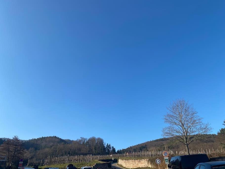 Le Riquewihrien * Riquewihr